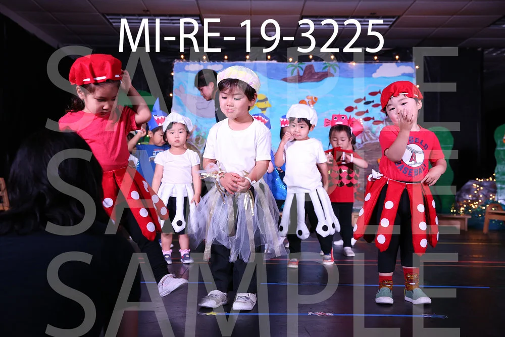MI-RE-19-3225.jpg