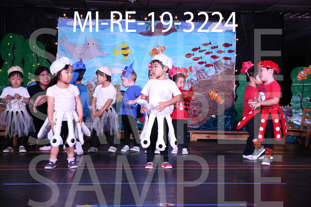 MI-RE-19-3224.jpg