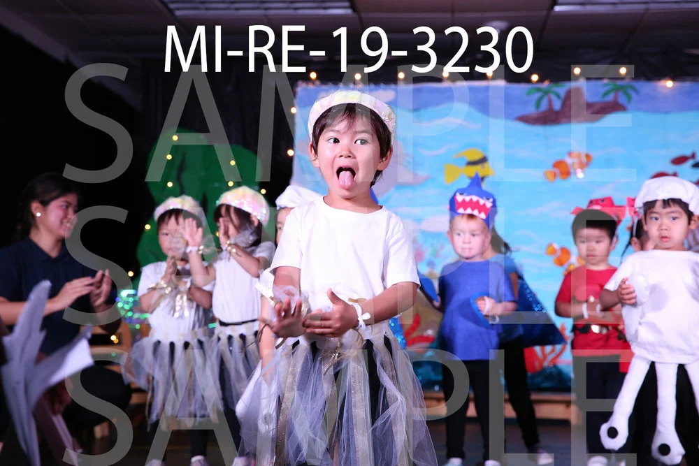 MI-RE-19-3230.jpg