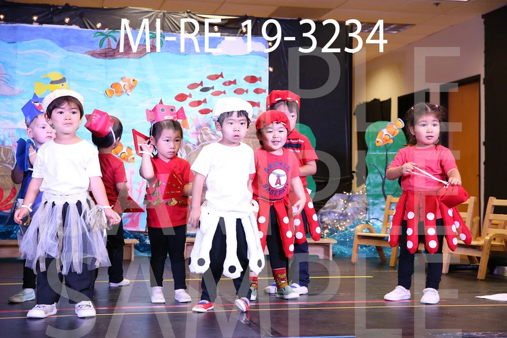 MI-RE-19-3234.jpg