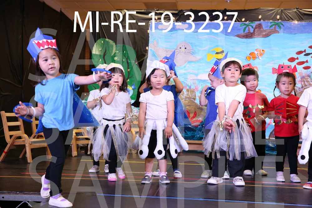 MI-RE-19-3237.jpg