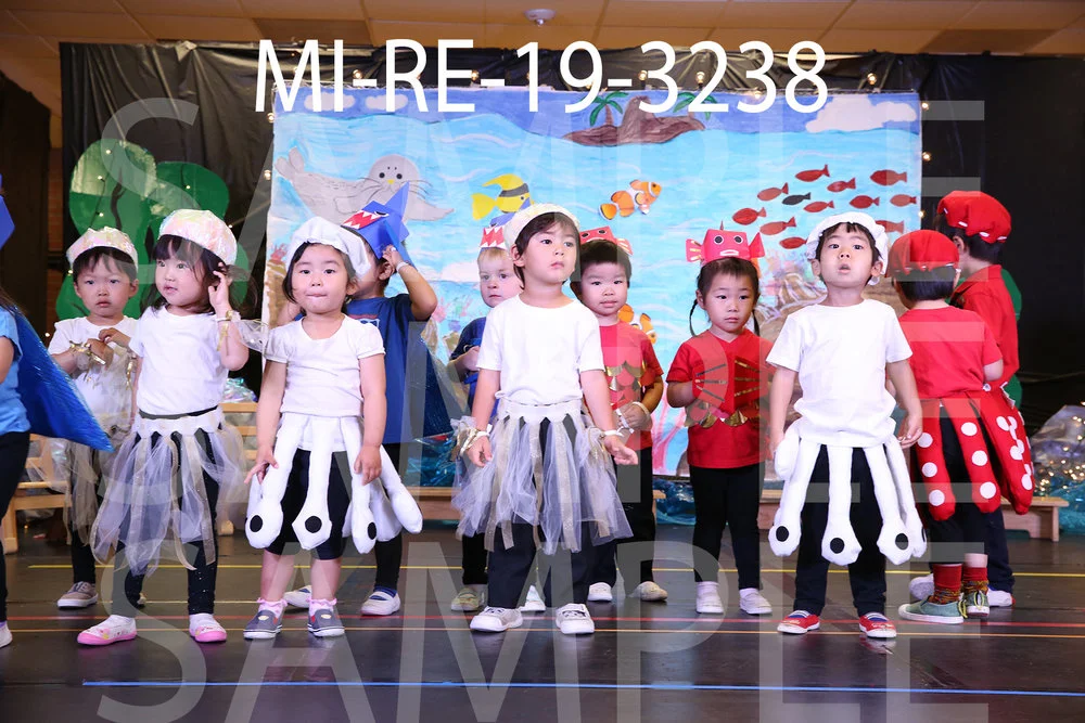 MI-RE-19-3238.jpg
