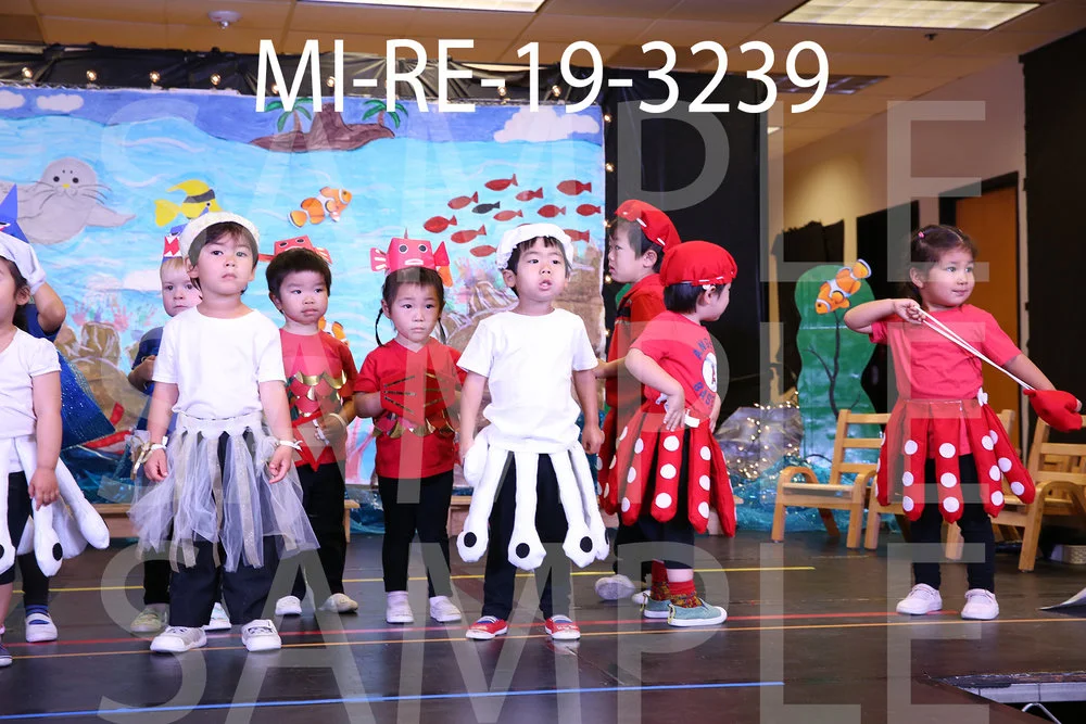 MI-RE-19-3239.jpg