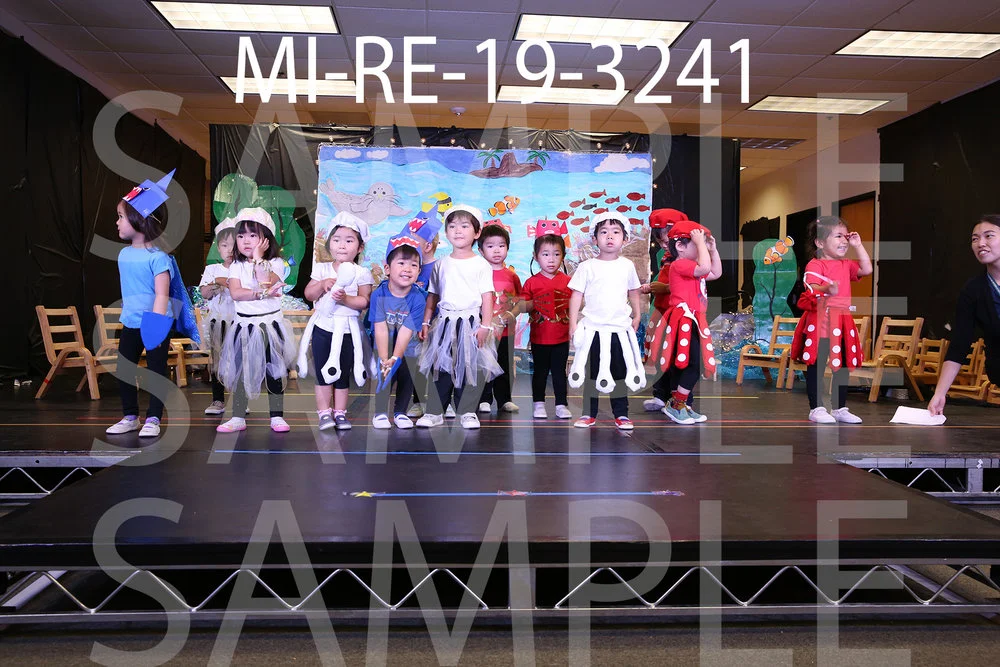 MI-RE-19-3241.jpg