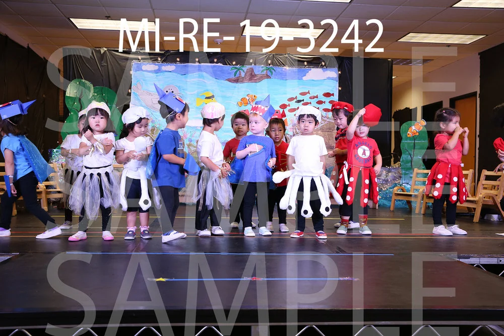 MI-RE-19-3242.jpg