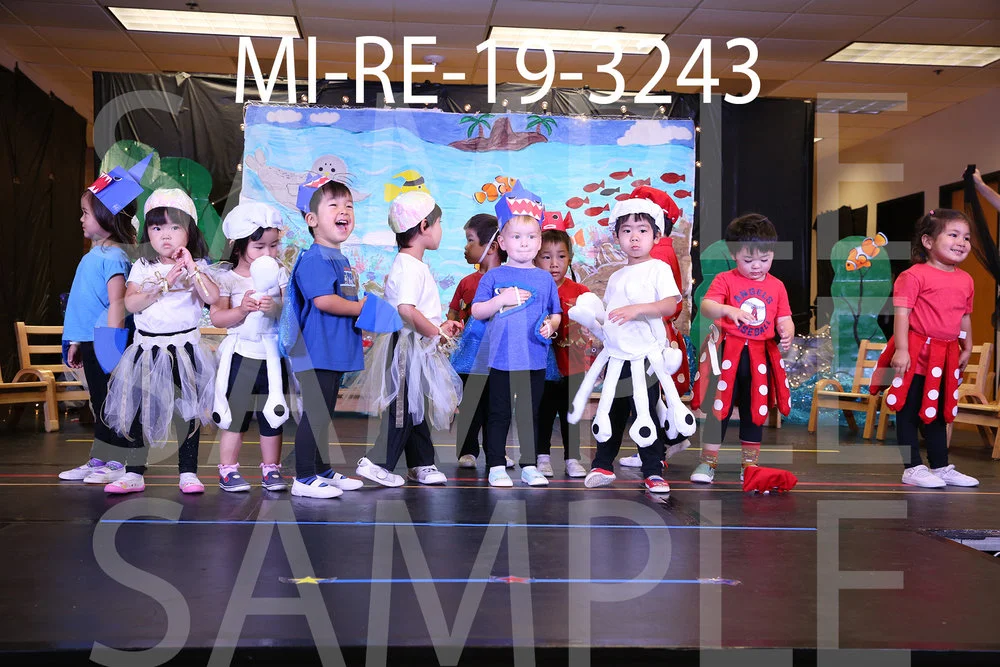 MI-RE-19-3243.jpg