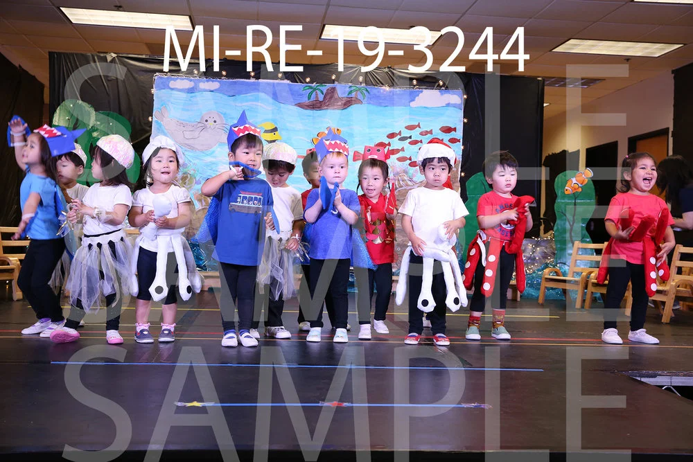 MI-RE-19-3244.jpg