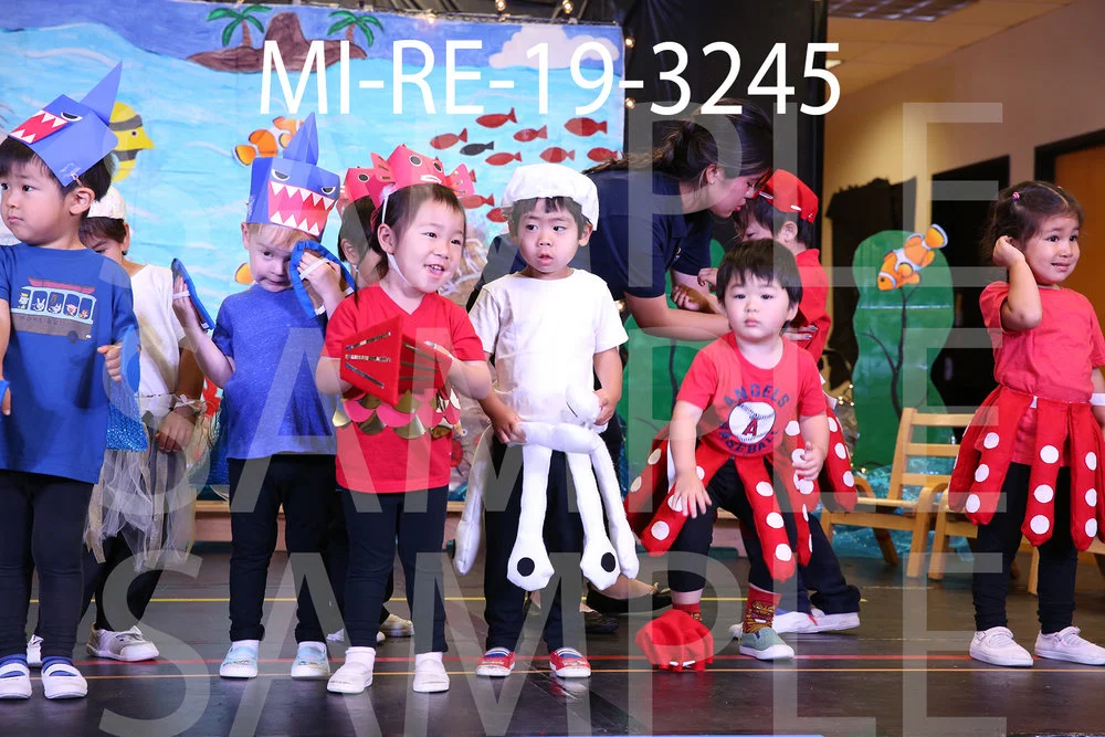 MI-RE-19-3245.jpg