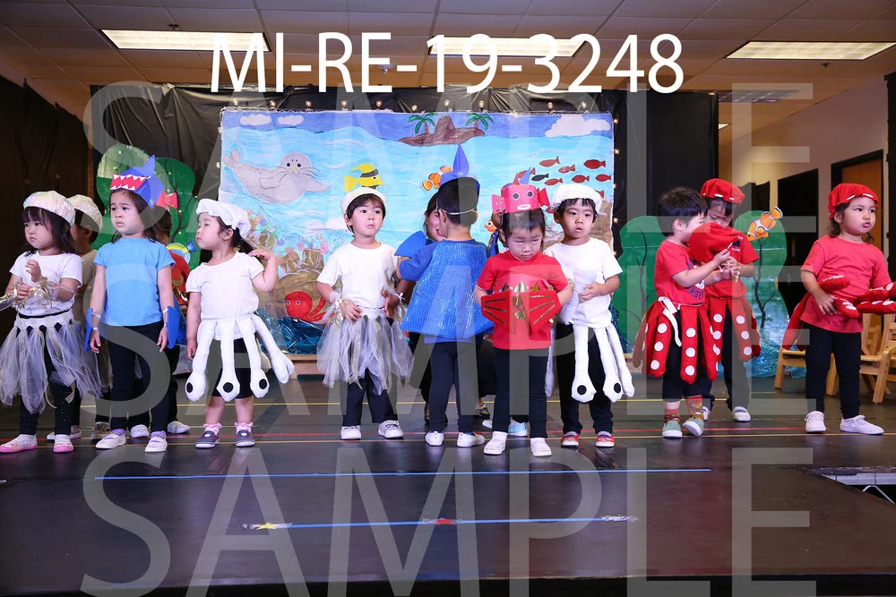 MI-RE-19-3248.jpg