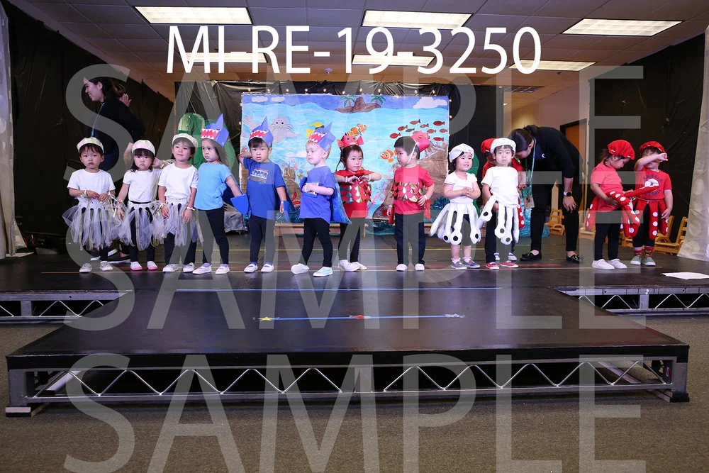 MI-RE-19-3250.jpg