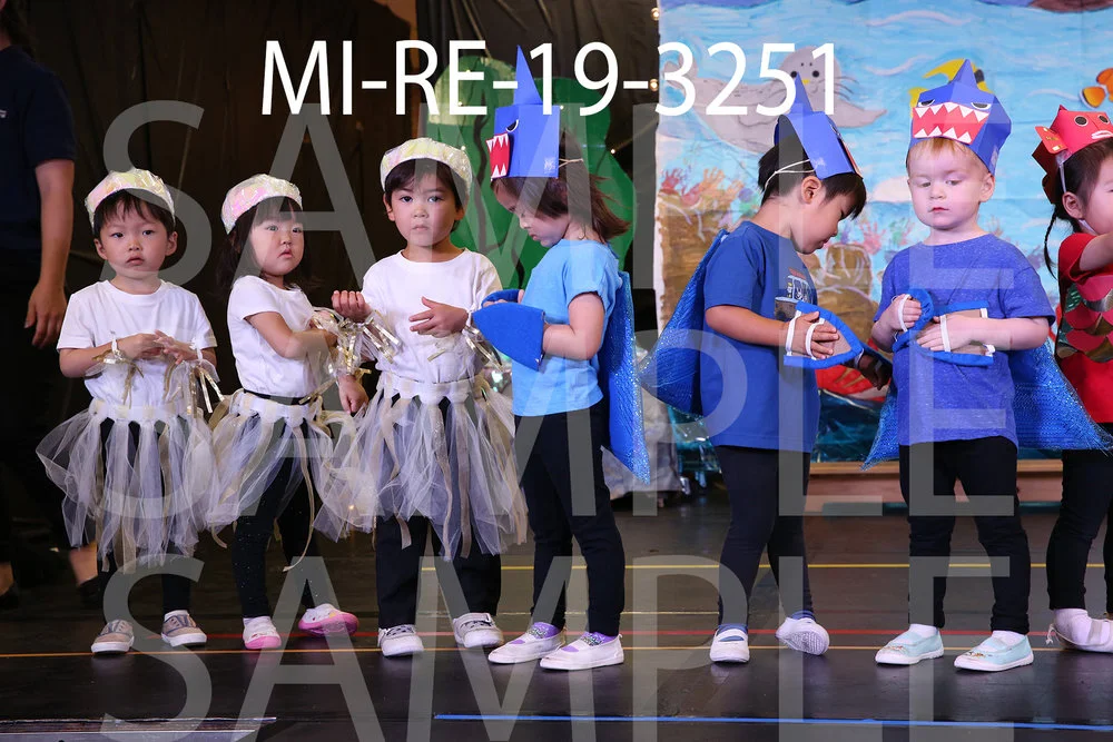 MI-RE-19-3251.jpg