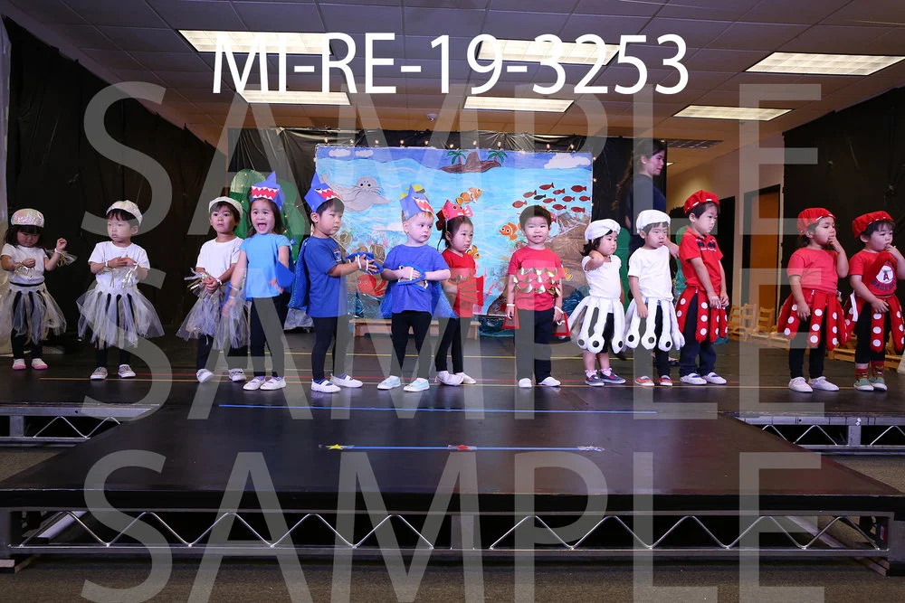 MI-RE-19-3253.jpg