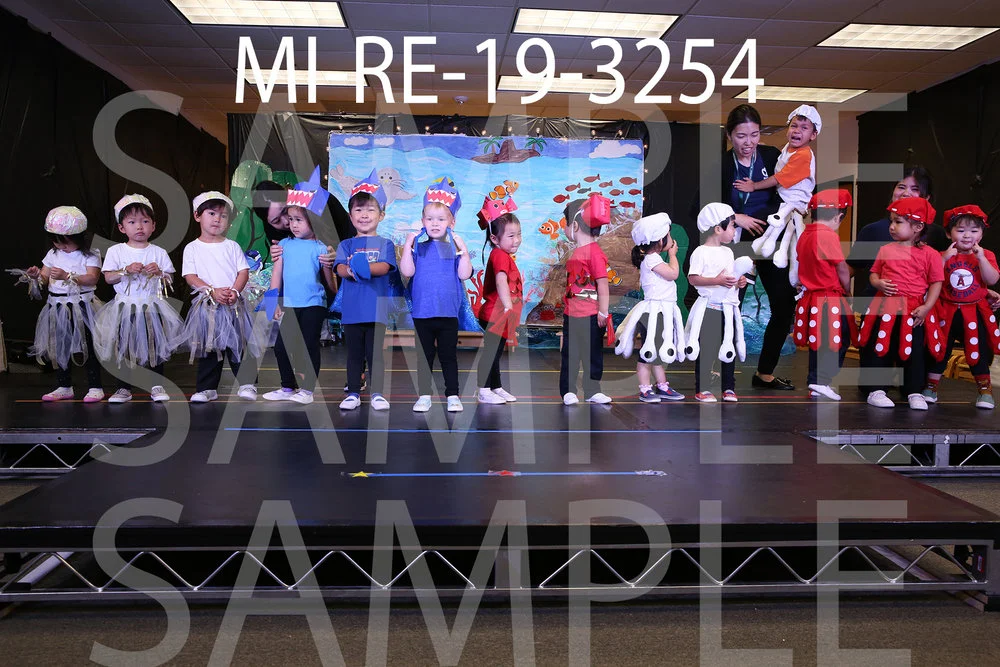 MI-RE-19-3254.jpg
