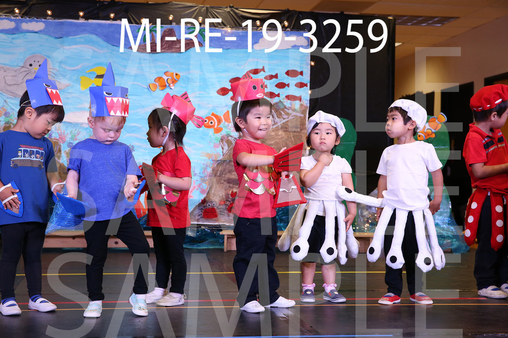 MI-RE-19-3259.jpg