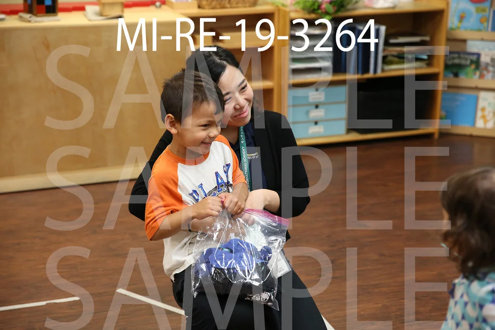 MI-RE-19-3264.jpg