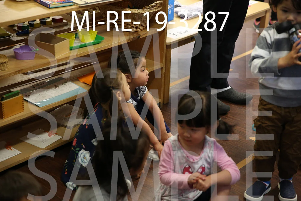 MI-RE-19-3287.jpg
