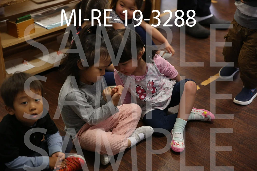 MI-RE-19-3288.jpg