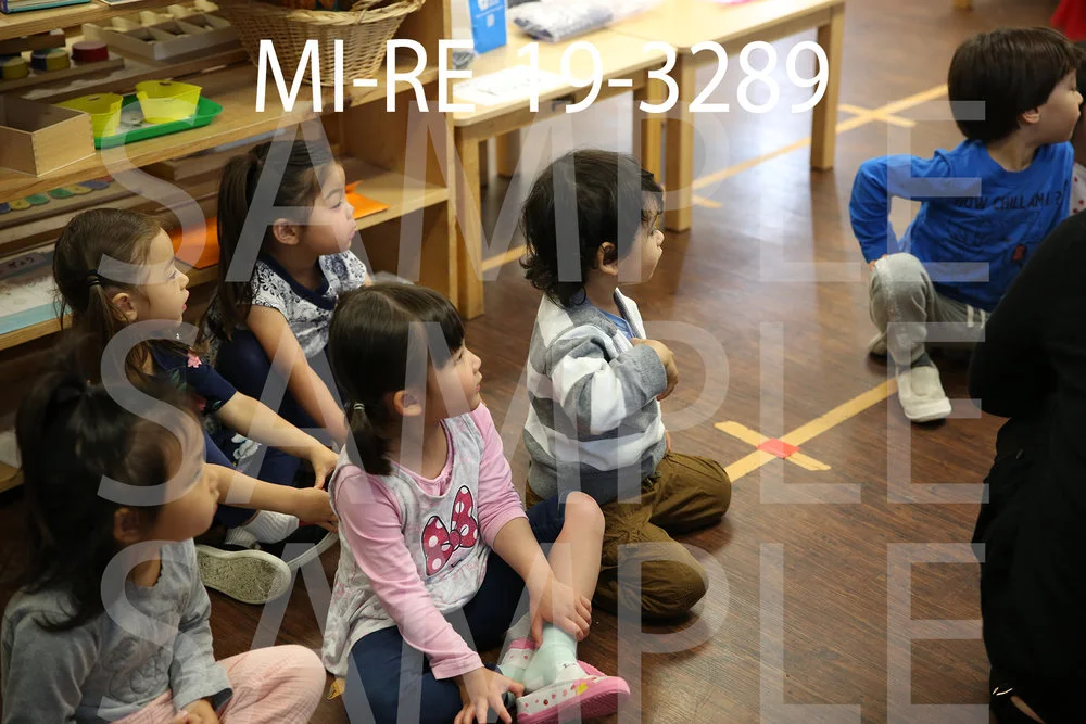 MI-RE-19-3289.jpg