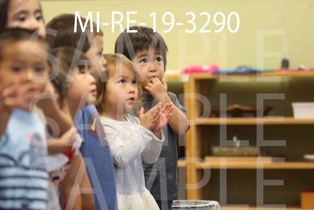 MI-RE-19-3290.jpg