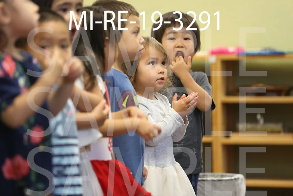 MI-RE-19-3291.jpg