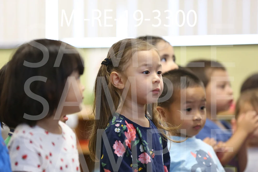 MI-RE-19-3300.jpg