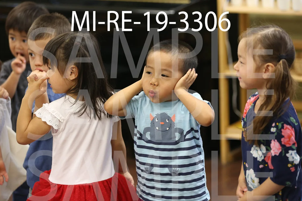MI-RE-19-3306.jpg