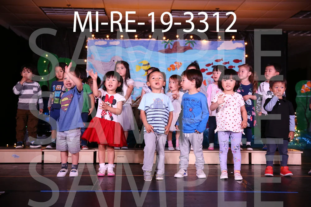 MI-RE-19-3312.jpg