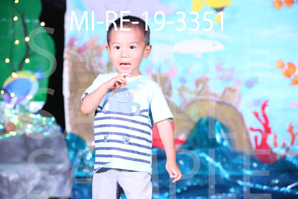MI-RE-19-3351.jpg