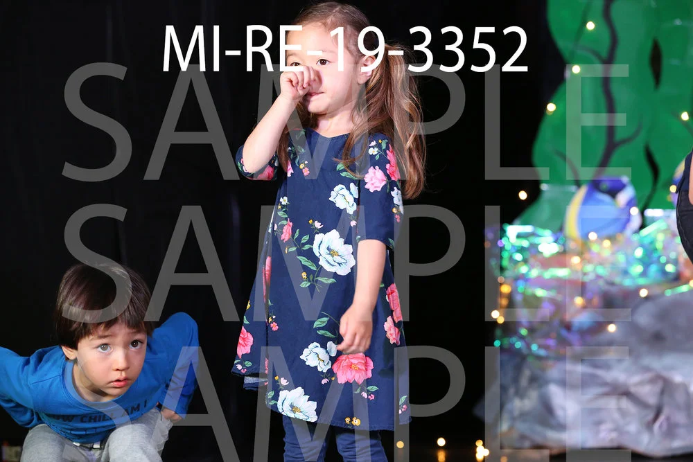 MI-RE-19-3352.jpg