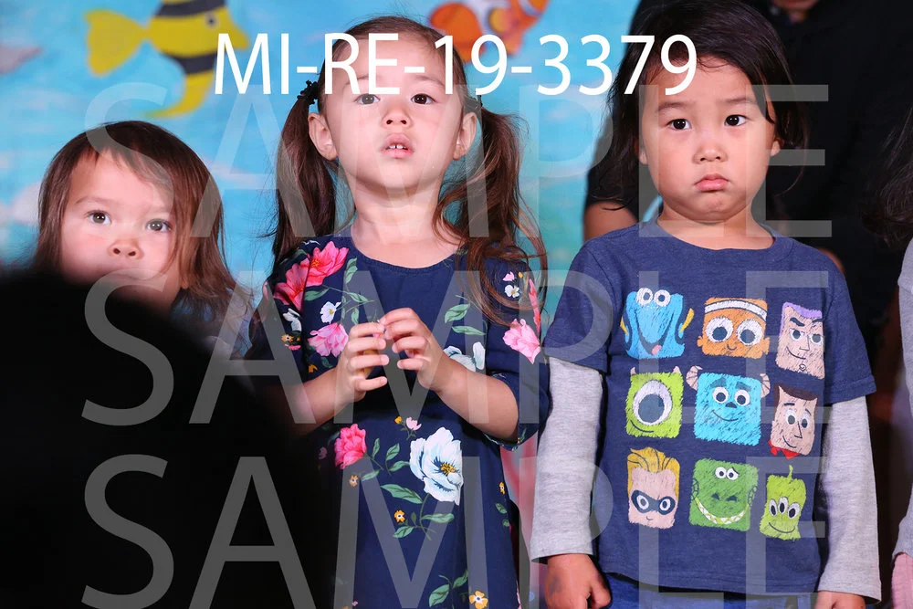 MI-RE-19-3379.jpg