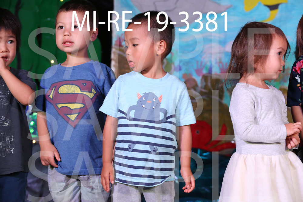 MI-RE-19-3381.jpg