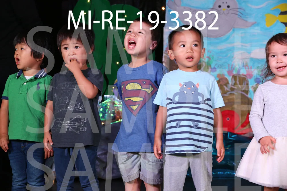 MI-RE-19-3382.jpg