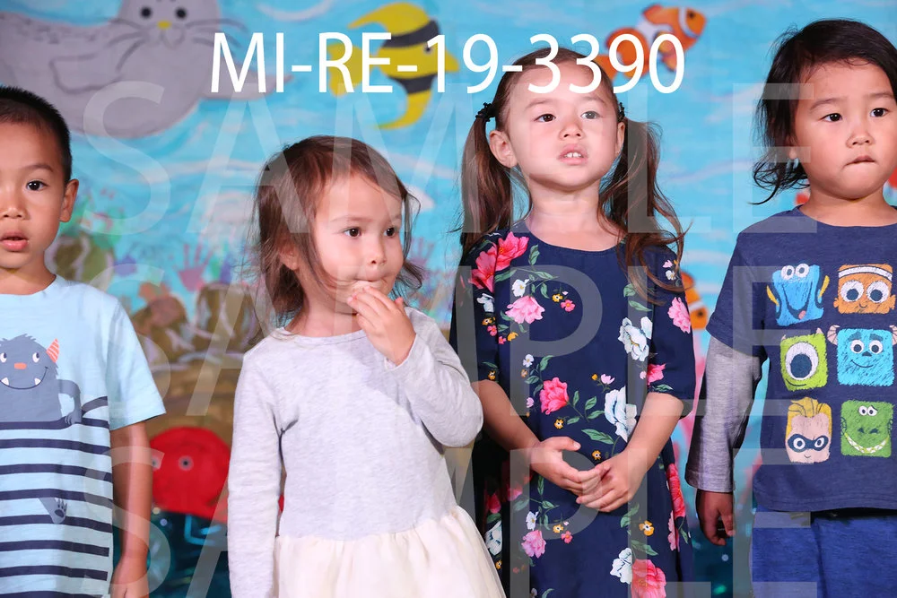 MI-RE-19-3390.jpg