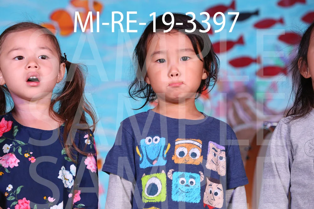 MI-RE-19-3397.jpg