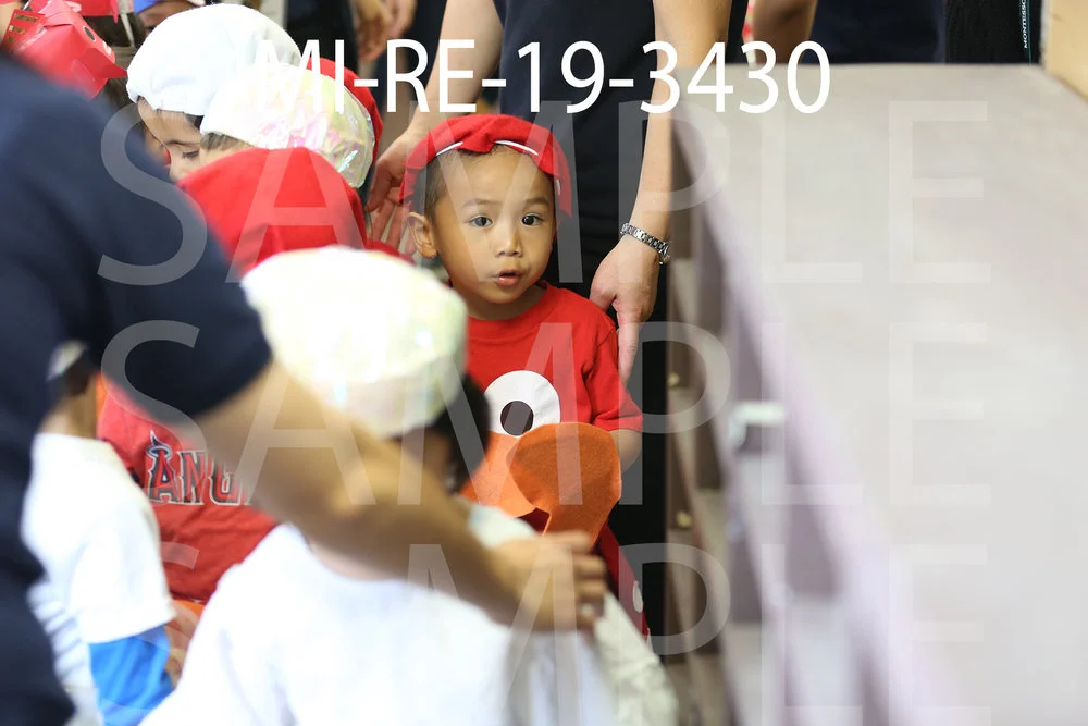 MI-RE-19-3430.jpg