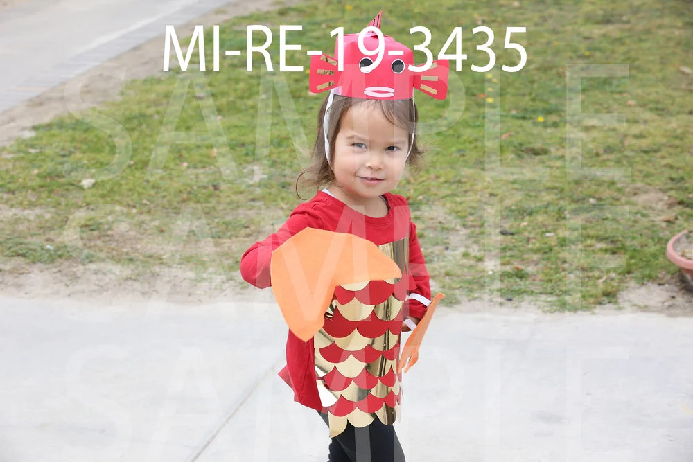 MI-RE-19-3435.jpg