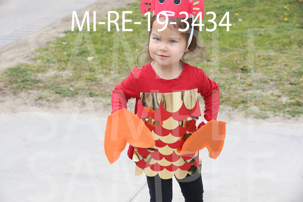 MI-RE-19-3434.jpg