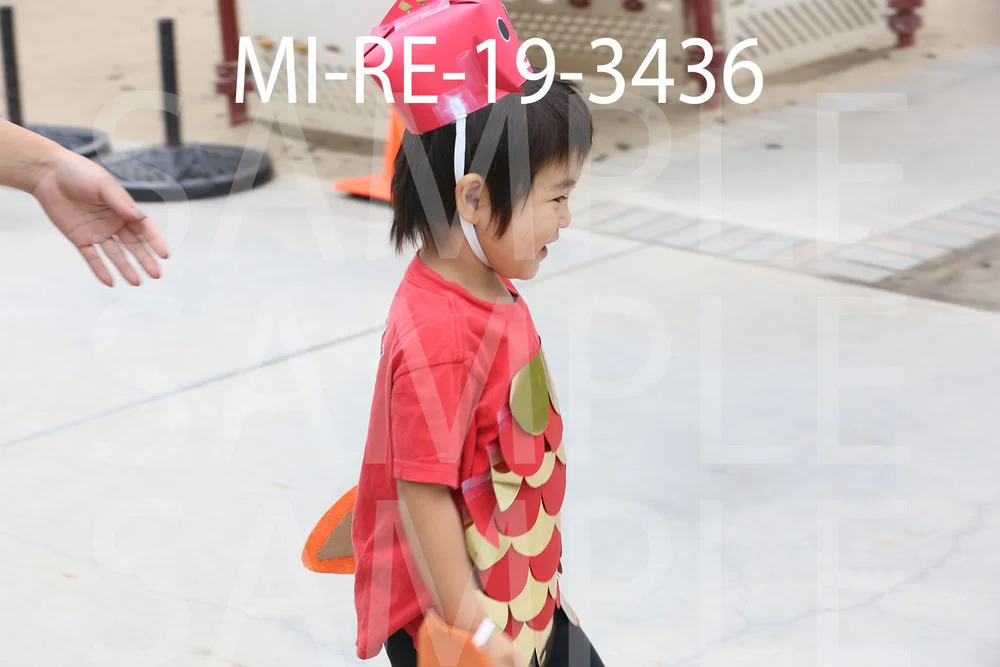MI-RE-19-3436.jpg