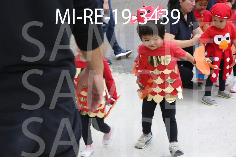 MI-RE-19-3439.jpg