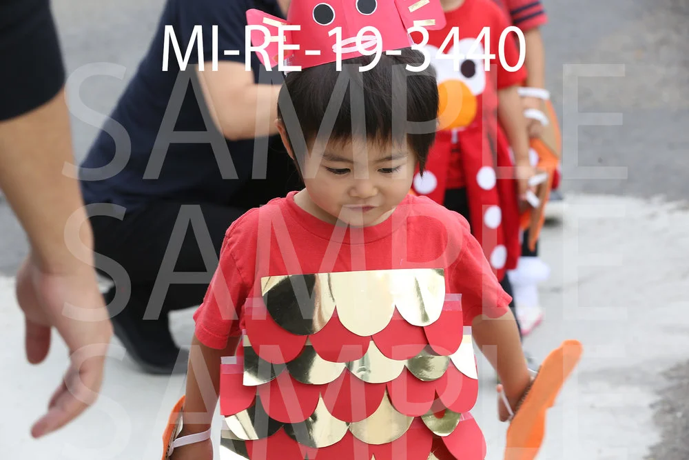 MI-RE-19-3440.jpg