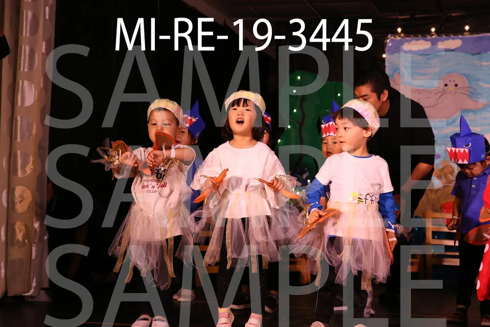 MI-RE-19-3445.jpg