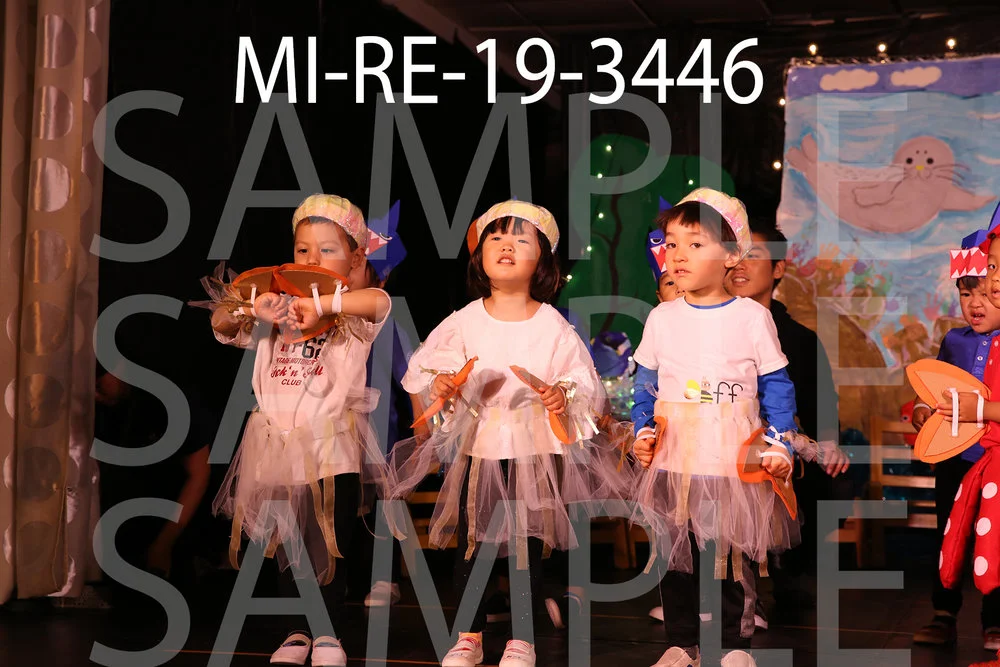 MI-RE-19-3446.jpg