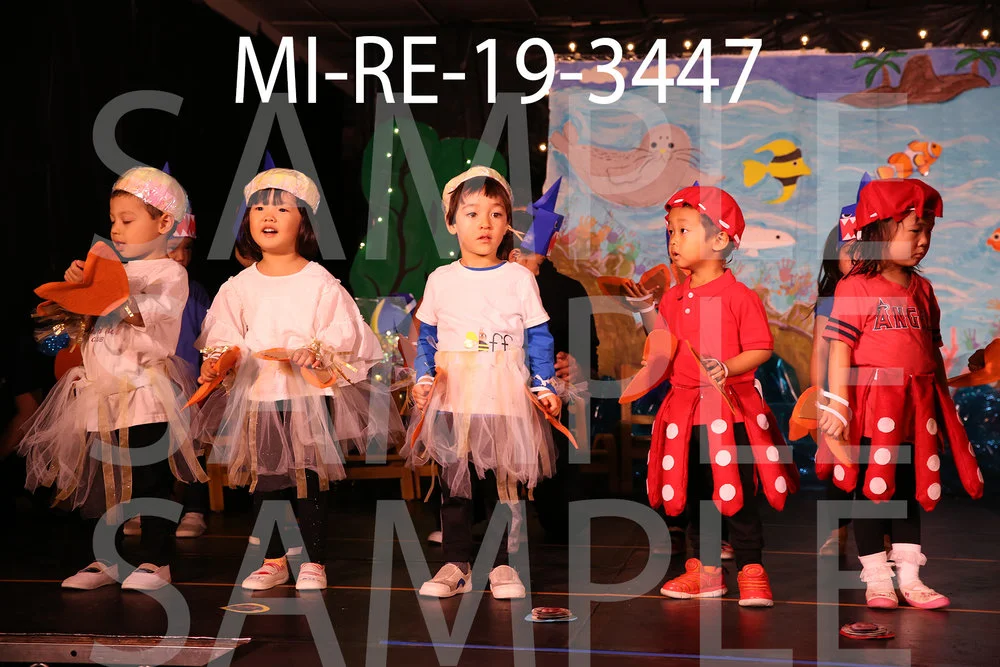 MI-RE-19-3447.jpg