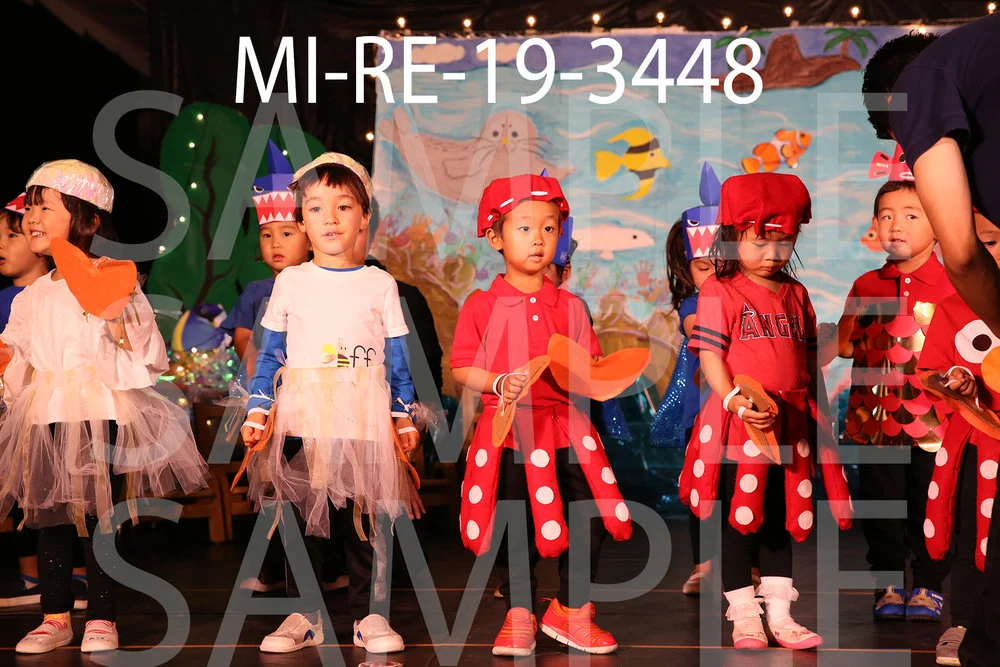 MI-RE-19-3448.jpg