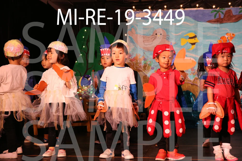 MI-RE-19-3449.jpg
