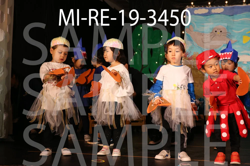 MI-RE-19-3450.jpg