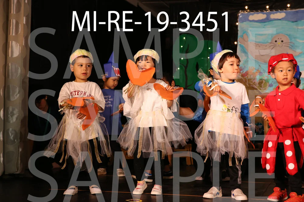 MI-RE-19-3451.jpg