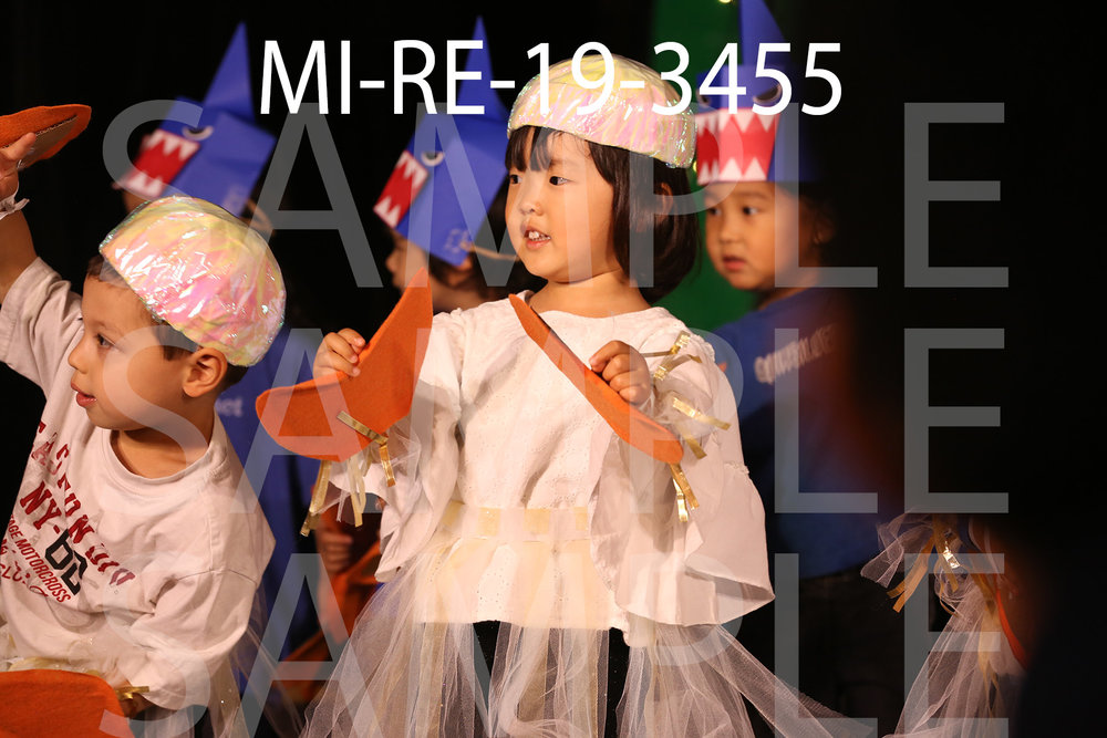 MI-RE-19-3455.jpg