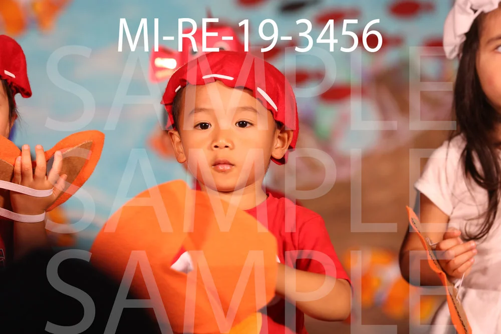 MI-RE-19-3456.jpg