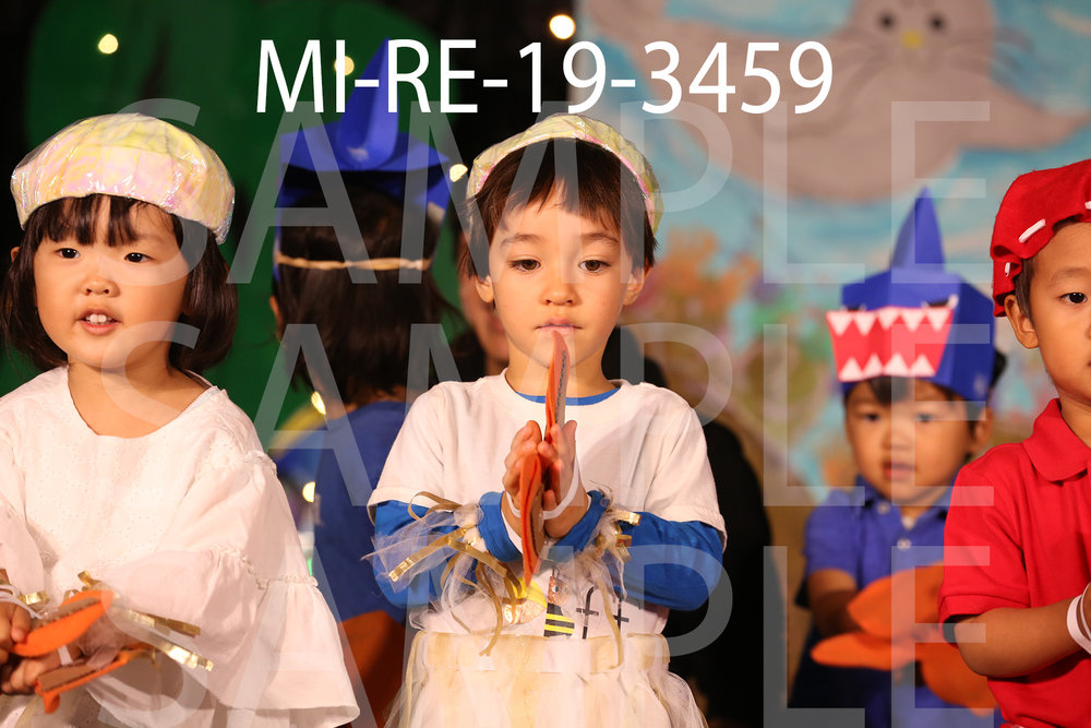 MI-RE-19-3459.jpg